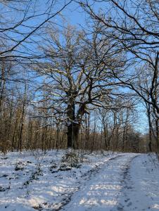 202501 Gruenkohlwanderung Foto B.Christ 06