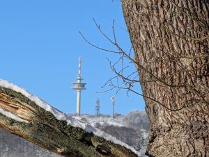 202501 Gruenkohlwanderung Foto B.Christ 17