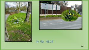 Im Flor 02